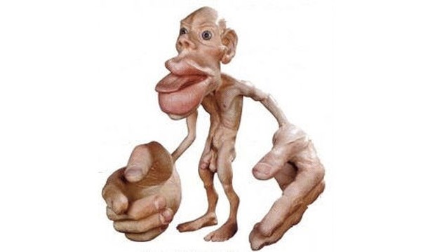 Wilder Penfield 1891-1976 created a drawing that became known as a homunculus, which shows what we would look like if our body parts were as big as the brain space they take up.