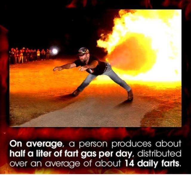 fire fart - On average, a person produces about half a liter of fart gas per day, distributed over an average of about 14 daily farts.
