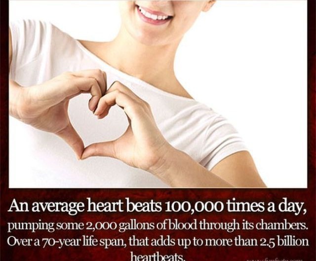 40 Fun Facts You Need To Know