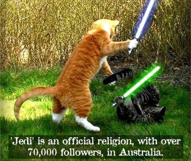 cats lightsabers - 'Jedi' is an official religion, with over 70,000 ers, in Australia.