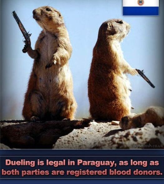 pistols at dawn - ocan osh.co.uk Dueling is legal in Paraguay, as long as both parties are registered blood donors.
