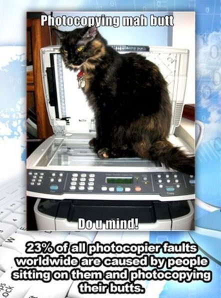 photo caption - Photocopying mah butt 6066 Geed 6186 Do u mind! 23% of all photocopier faults worldwide are caused by people sitting on them and photocopying their butts.