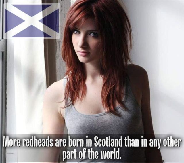 susan coffee - More redheads are born in Scotland than in any other part of the world.