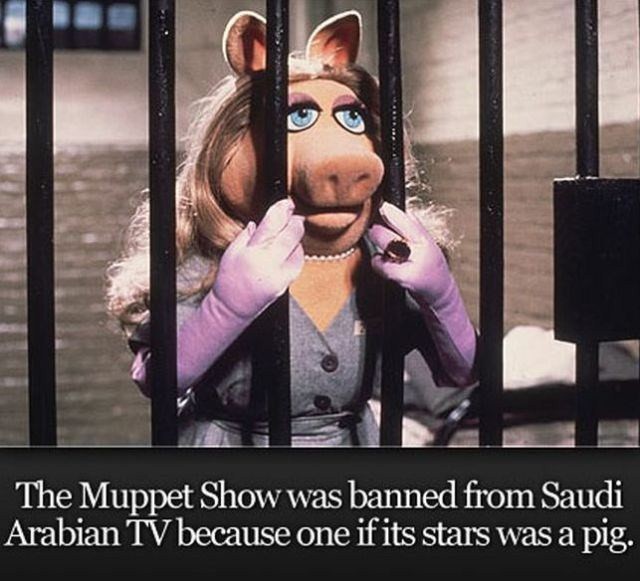 miss piggy - The Muppet Show was banned from Saudi Arabian Tv because one if its stars was a pig.