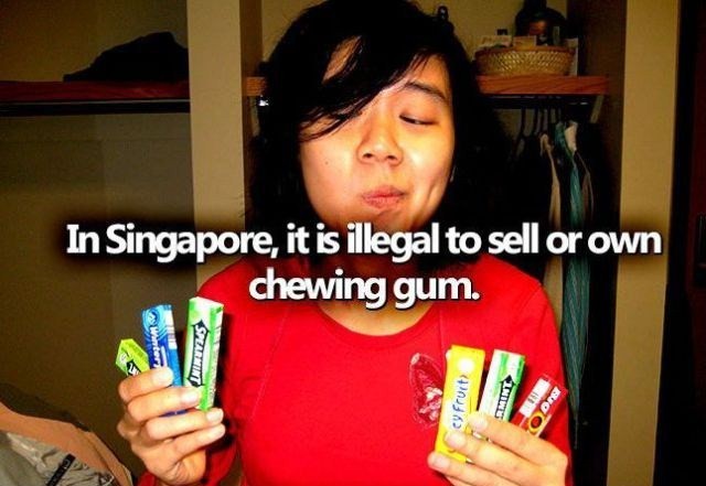 Information - In Singapore, it is illegal to sell or own chewing gum. Spzritt cy Fruit Boo