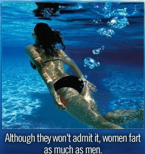 do women fart - Although they won't admit it, women fart as much as men.
