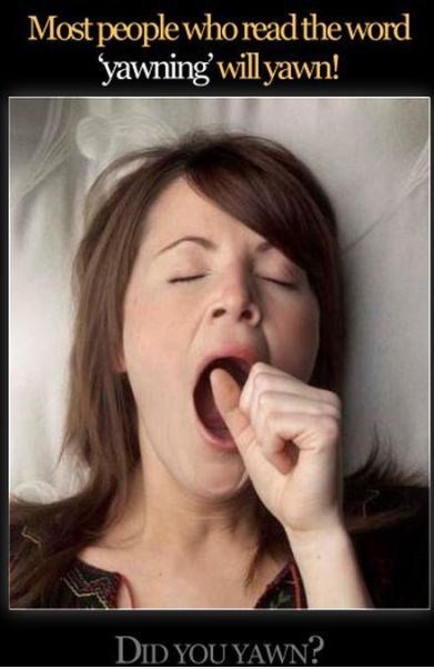 people yawning - Most people who read the word yawning will yawn! Did You Yawn?