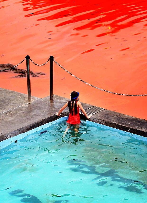 This is how algae turned the water at Bondi Beach red.
