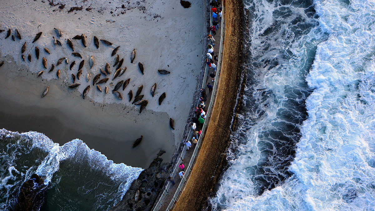 The First International Drone Photography Awards...