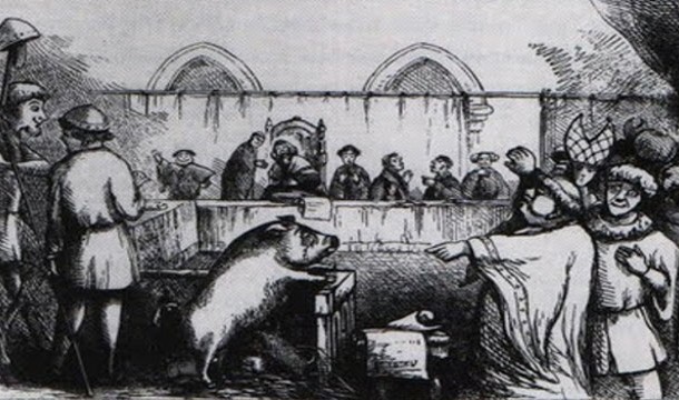During medieval times animals were put on trial and sometimes sentenced to death