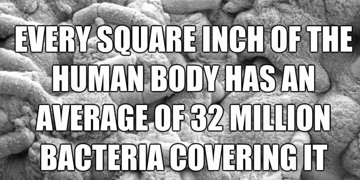 37 Most Bizarre Disturbing Facts Ever!