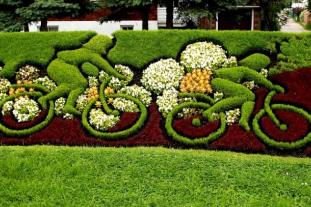 25 Impressive Topiary Sculptures Youll Want In Your Yard!