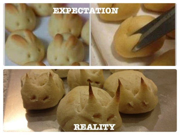 bunny rolls fail - Expectation Reality