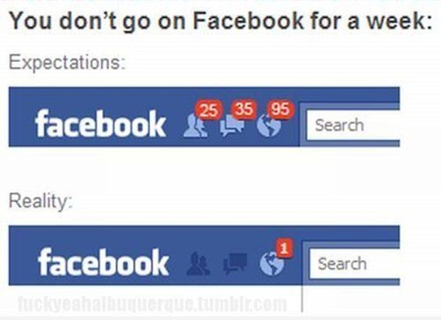 facebook expectation - You don't go on Facebook for a week Expectations facebook Search Reality facebook & Search Search