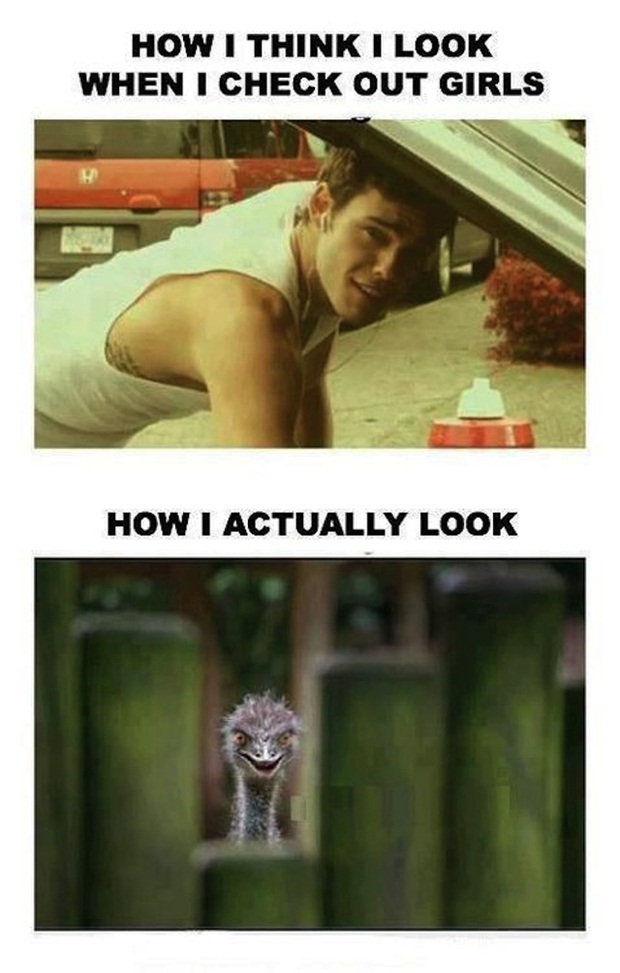 funniest memes hilarious memes - How I Think I Look When I Check Out Girls How I Actually Look