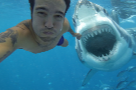 An Oregon couples honeymoon vacation in Florida took a dramatic turn of events as the newly wed took a selfie of himself just moments before he fell victim to a deadly shark attack