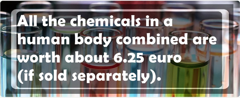 material - All the chemicals in a human body combined are worth about 6.25 euro if sold separately.