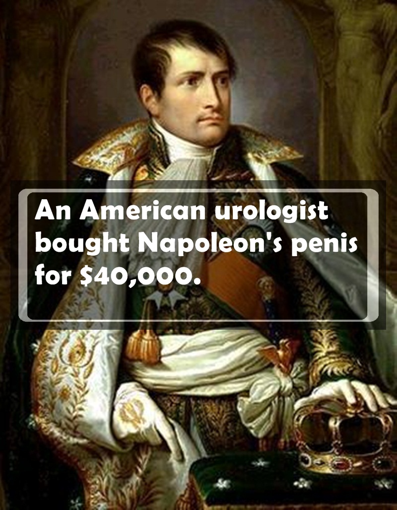 coup d etat napoleon - An American urologist bought Napoleon's penis for $40,000.