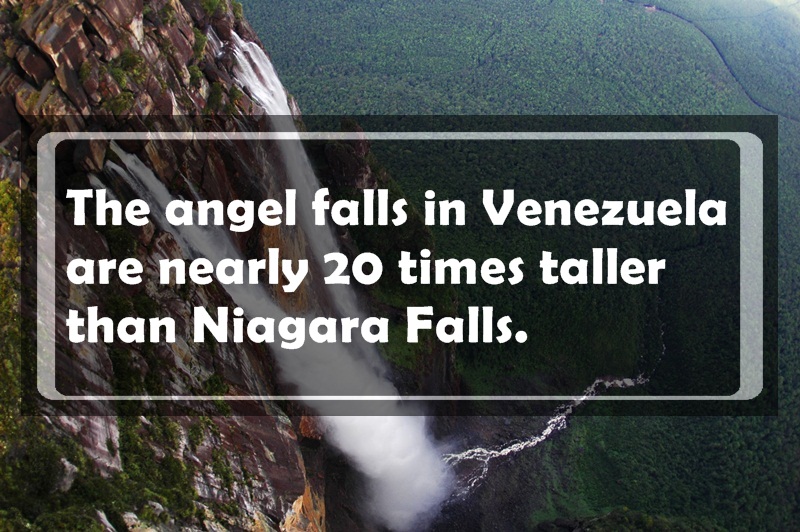 venezuela tourism and attractions - The angel falls in Venezuela are nearly 20 times taller than Niagara Falls.