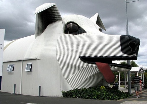 Sheep Dog House,New Zeland