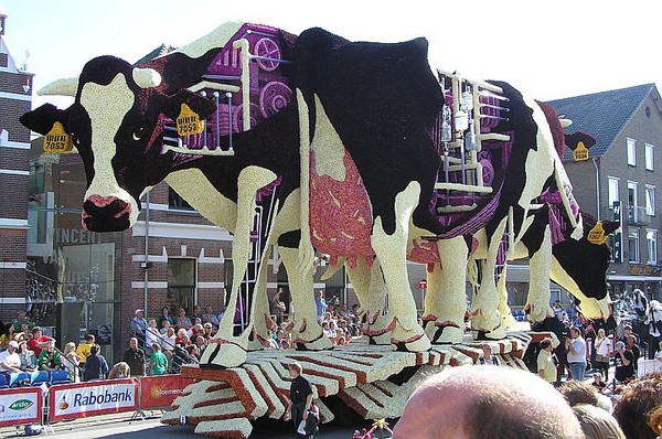 Gigantic Flower Sculpture Festival in the Netherlands!