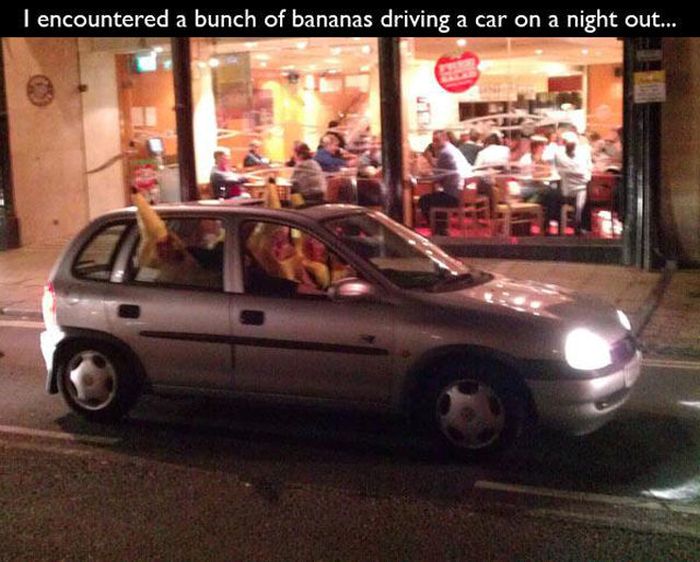 wtf vehicle door - I encountered a bunch of bananas driving a car on a night out...