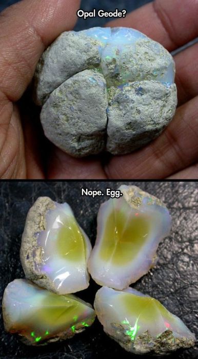 wtf egg opal geode - Opal Geode? Nope. Egg.