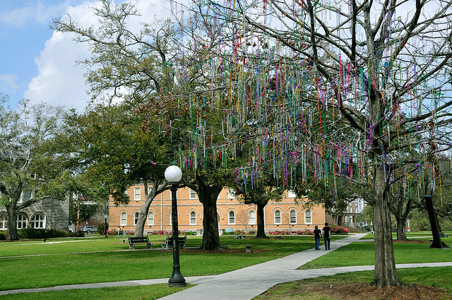 17 TULANE BEAD TREE