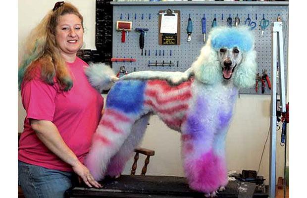 Owners Converting Dogs into Something Entirely Different!