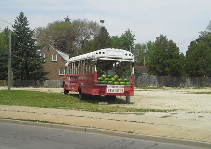 bus - Fresh Paste Peanuts