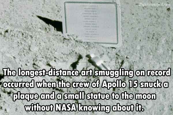 24 Very Interesting Facts!