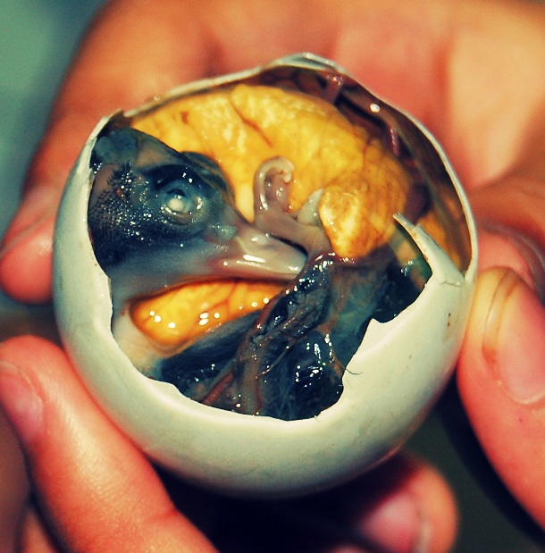 Eggs have been thought to ease the next-day pain of overdrinking, but if you get drunk in Phillipines, you are advised to eat a poached, fertilized duck embryo called "balut."