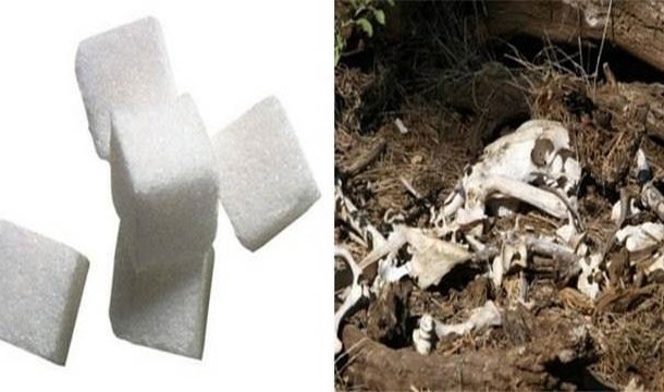 Calcium triphosphate-A fancy word for bone char, which is basically the ashes of burned animals, it is often used to filter sugar.