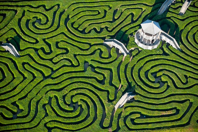 maze from birds eye view