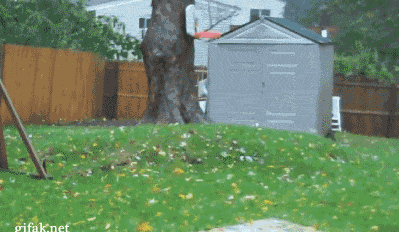 31 Funny And Fascinating GIFs