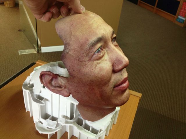 A 3D-printed face