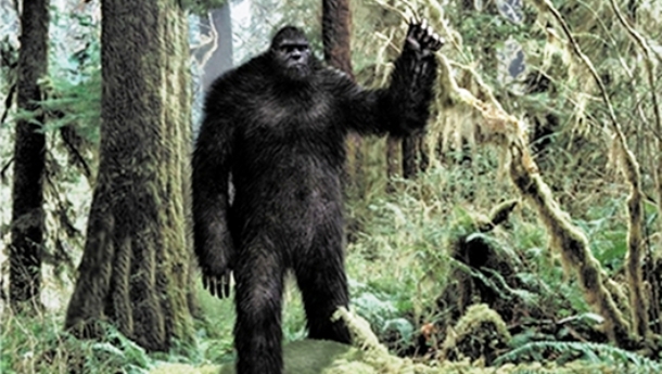 In Washington, you can be arrested or fined for harassing Bigfoot.