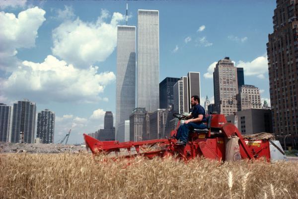 30 Bizarre Oddities Only Seen in NYC!