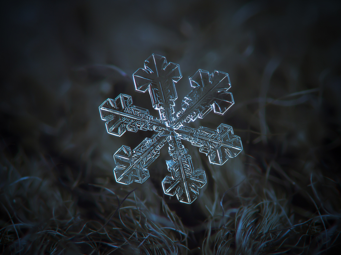 Snowflake just before melting