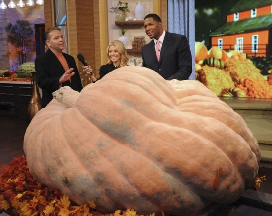 The worlds largest pumpkin weighed in at 1,872 pounds