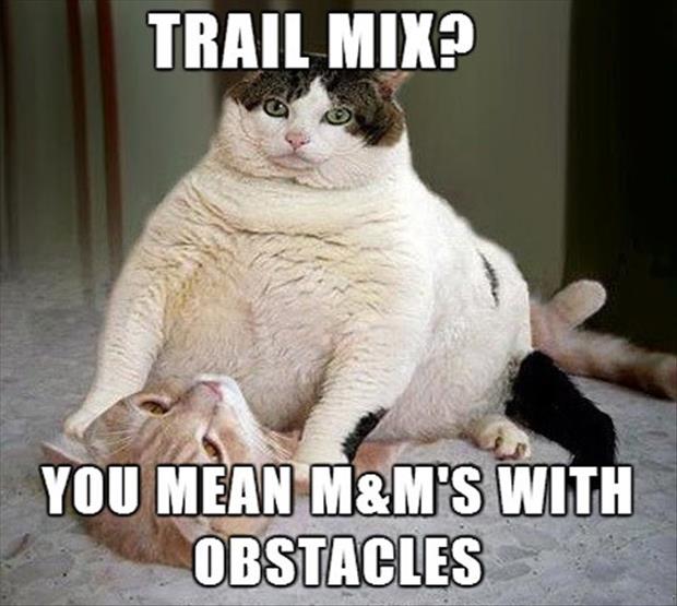 memes - third trimester sex cat - Trail Mix? You Mean M&M'S With Obstacles