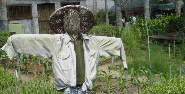 And let's not forget about the Scarecrow which symbolizes the ancient agricultural roots of the holiday.