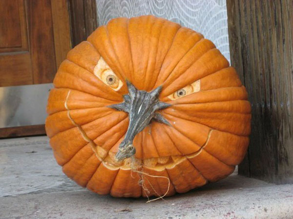 Creative Jack o Lantern carved pumpkin - jack o lantern noses