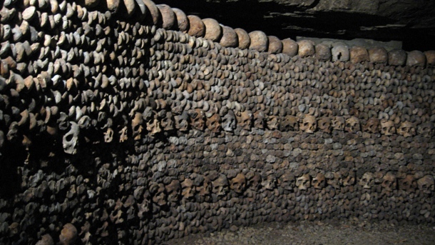 When walking through the catacombs you'll notice that the only bones visiable are arms, legs and skulls. Some of the other, more randomly shaped bones, have been used to create supporting walls in the collapsed and damaged parts of the catacombs.