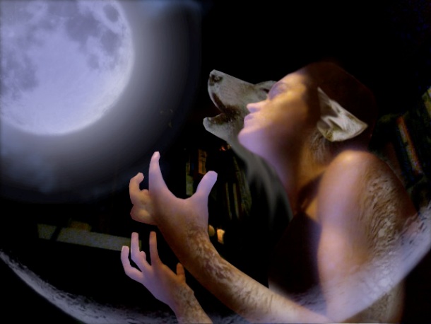 In 1999 in the USA, 907 people insured themselves against turning into werewolves.