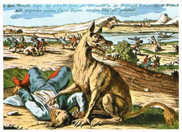 One of the most popular real stories based on the werewolf idea was the one of the Beast of Gevaudan. Between 1764 and 1767, the Gevaudan province in south-central France was terrorized by an unspecified wolf-like creature. Allegedly, the beast attacked over 200 humans, killing and eating about 100 of them. At that time, people thought it to be a werewolf but modern theories suggest it was a huge domestic dog or a dog-wolf hybrid.