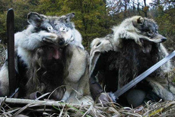 Similarly to the werewolf legends, in Viking Scandinavia, there were stories about the so called Ulfhednars, warriors dressed up in wolf skin, who were allegedly able to take over the spirit of the animals and use it in battles. They didnt feel any pain and killed their enemies in a frenzy-like state.
