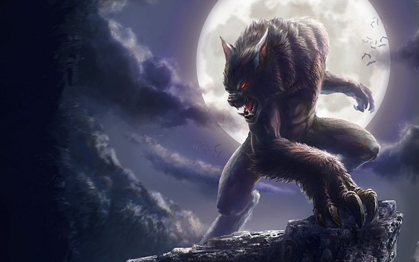 The appearance of the werewolf in his animal form varied significantly with regions but there were several typical attributes common to most of them. The werewolf was usually larger than a regular wolf, kept human voice and eyes, was able to walk on his hind legs and ate freshly buried human remains.