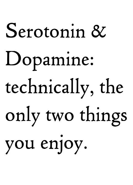 make decisions based on the outcome you want - Serotonin & Dopamine technically, the only two things you enjoy.