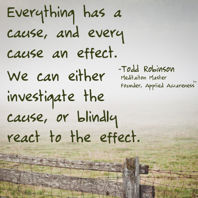 grass - Everything has a cause, and every cause an effect. We can either investigate the cause, or blindly react to the effect. Todd Robinson Meditaiton Master Founder, Applied Awareness